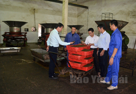 Các ngành chức năng của huyện Văn Chấn kiểm tra tình hình sản xuất, kinh doanh tại Công ty cổ phần Chè Nghĩa Lộ.

